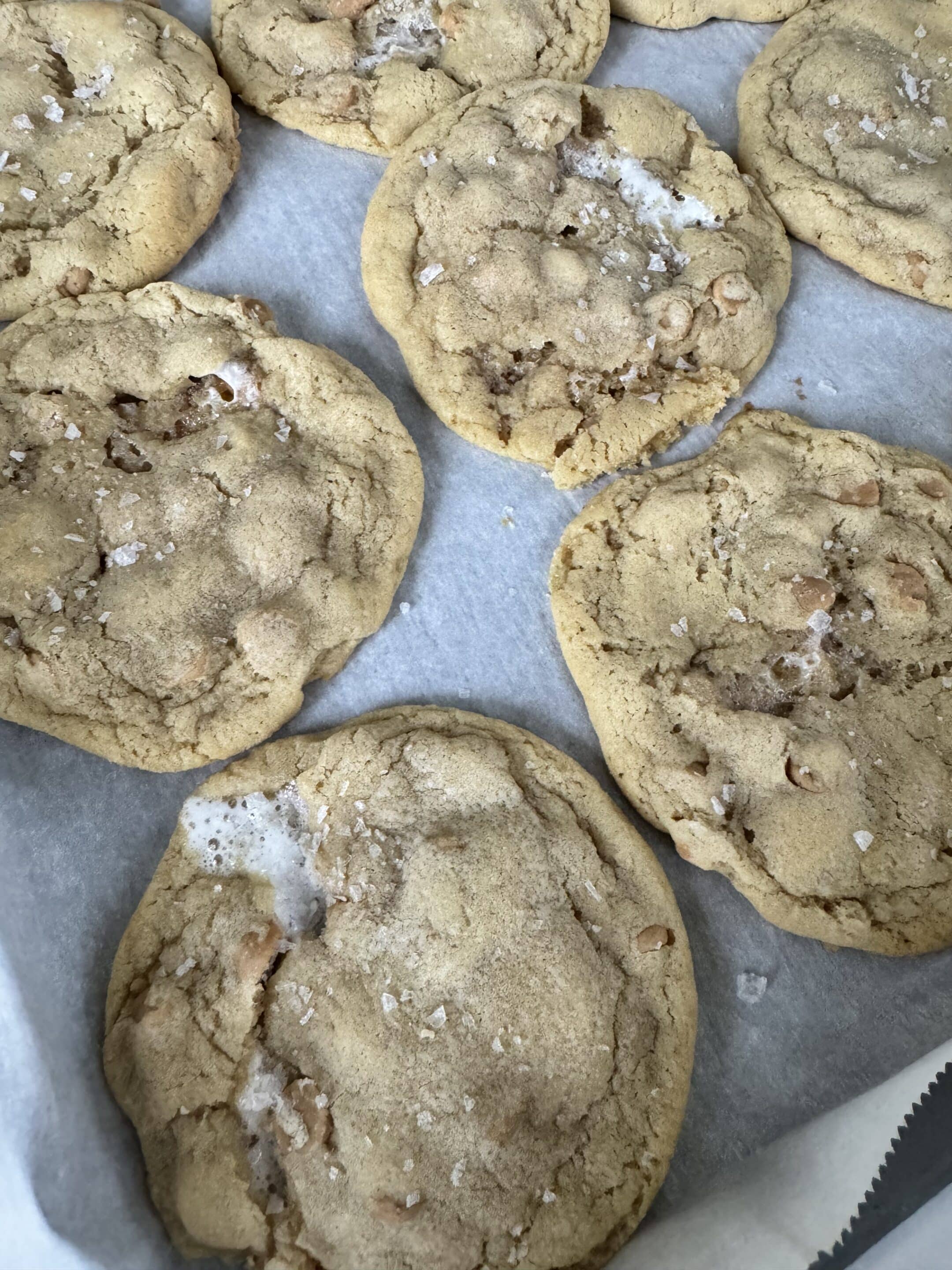 Gooey Peanut Butter Chip Cookies