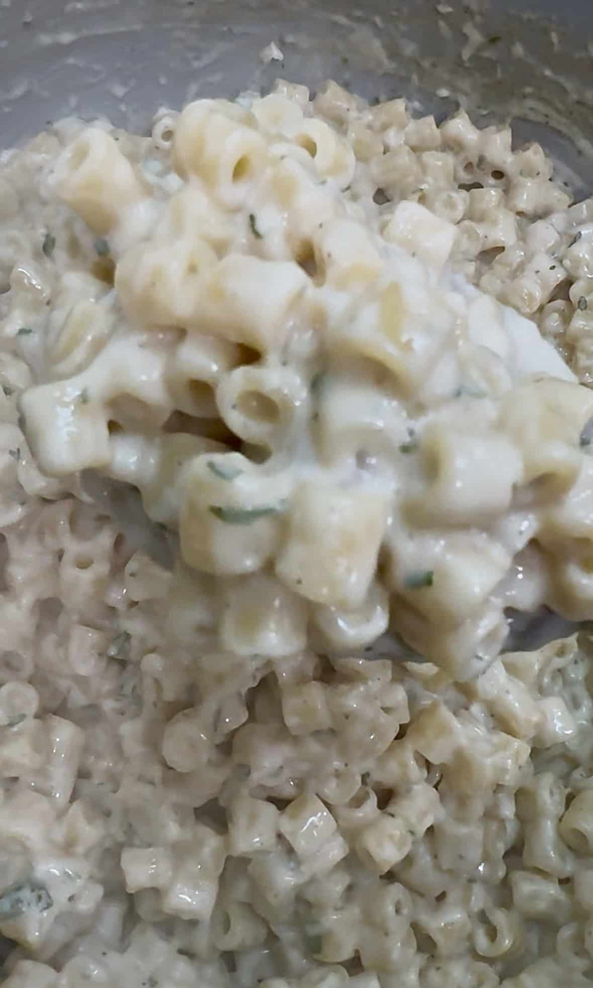 Viral Ditalini Pasta