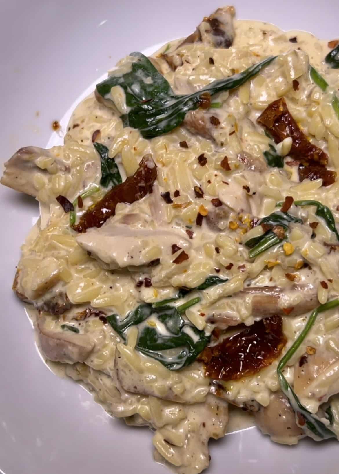 Creamy Sun Dried Tomato Chicken and Rice