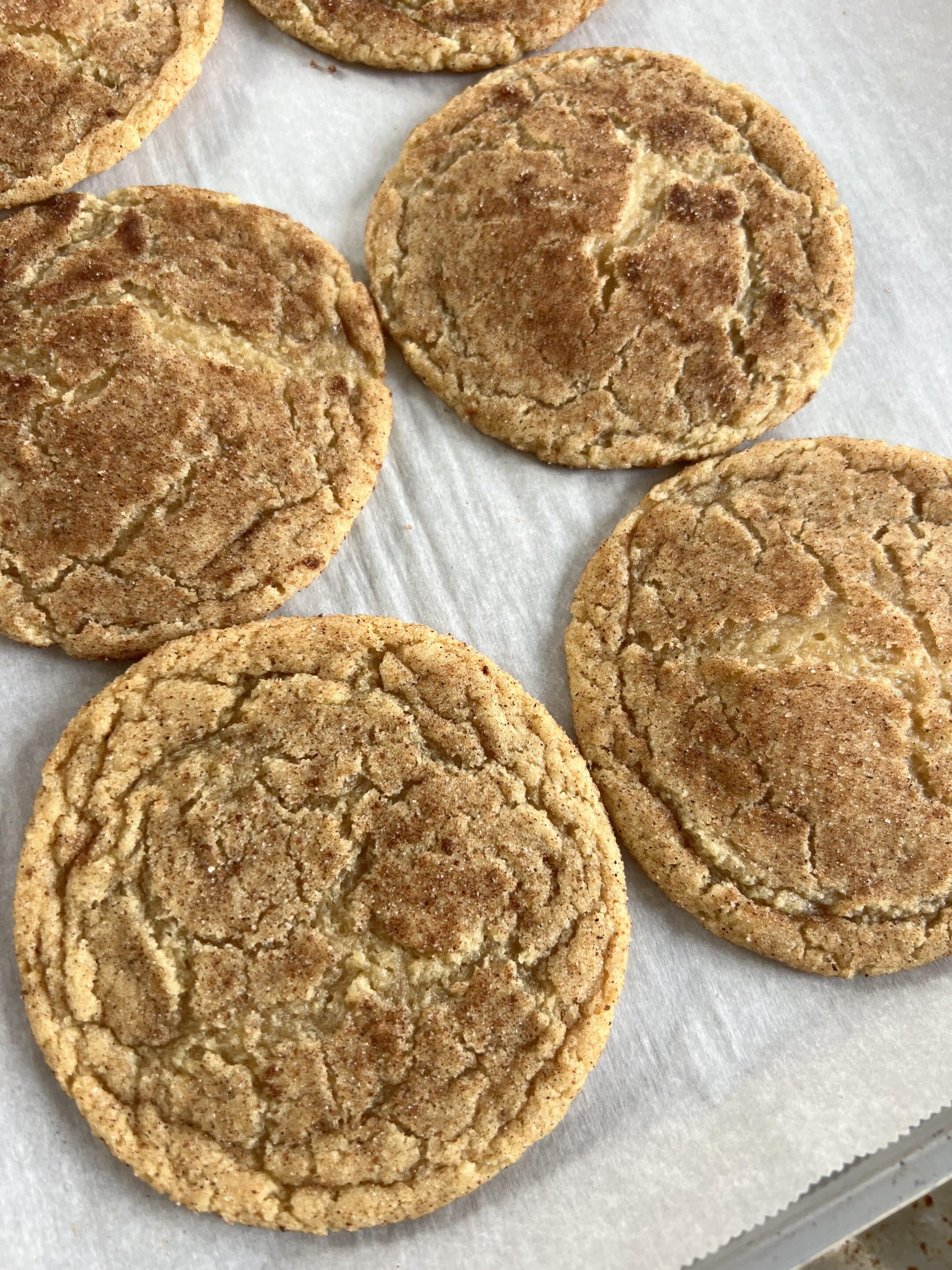 Chewy Snickerdoodle Cookies